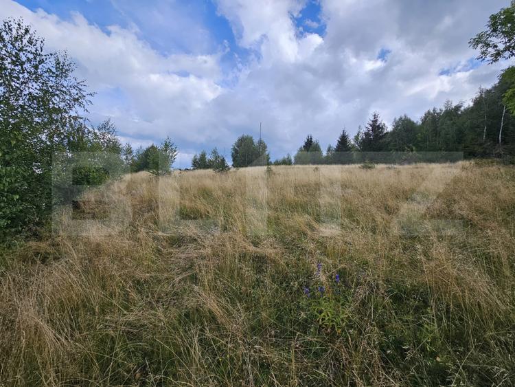 Teren intravilan 5.271 mp cu priveliște spectaculoasă – Gârda de Sus, Snide