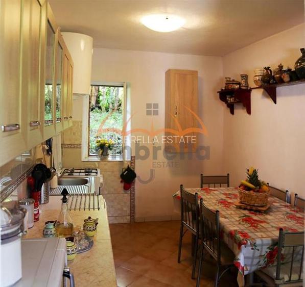 Conac - Casa Memoriala George Stephanescu - 9