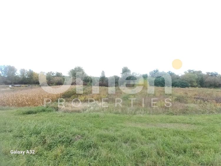 Teren extravilan de 7 arii de vânzare în Cătălina – ideal pentru casă de vacanță