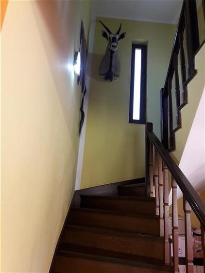Royal Imobiliare - Vanzari Vile