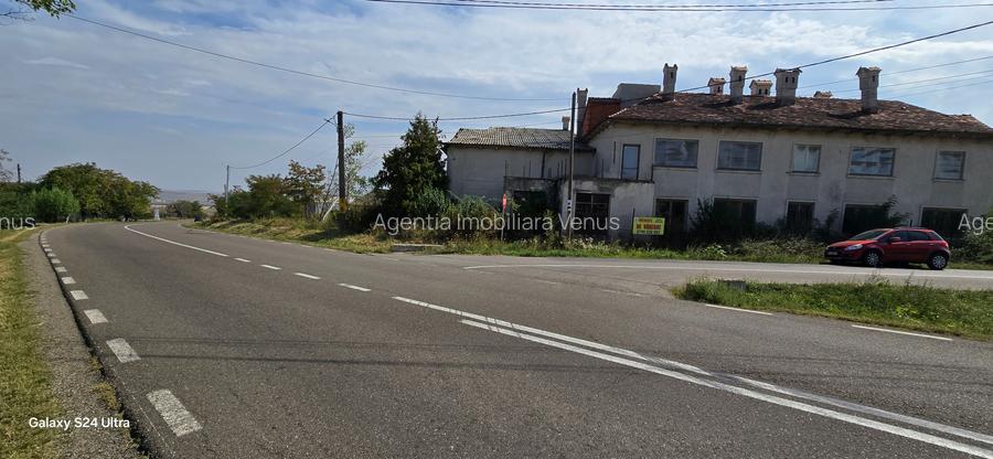 Constructii la strada in Cucorani pe 1 ha de teren - 6