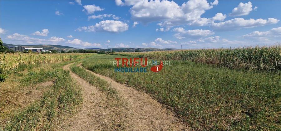 Teren intravilan construibil de 5.900 mp, zonă industrială, Șosea - 3