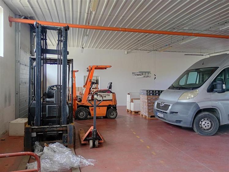 Hala industriala + Casa+ 9650 mp teren