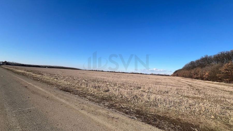REL4000892 Corbeana - Ostratu 15200 mp langa padure