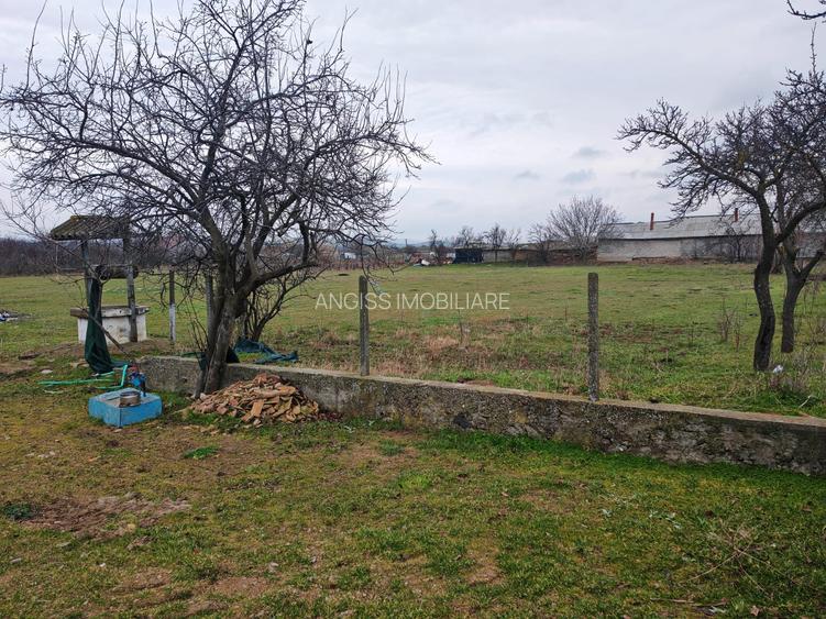 Casă bătrânească + Teren generos 4.208 mp – Cerna, Tulcea (Toate utilitățile) - 8