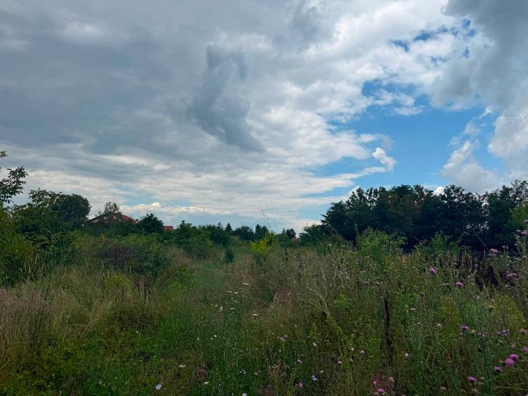 Buftea ultracentral toate utilitatile la teren
