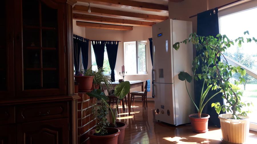 Refugiul Tău Verde: Casă Spațioasă cu Livadă, Anexe și Panouri Solare