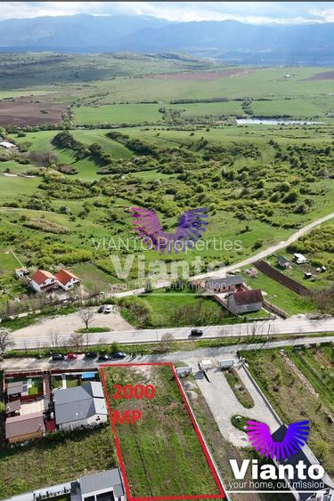 Comision 0% teren intravilan premium 650 mp la drum judetean | Daia Noua - 6