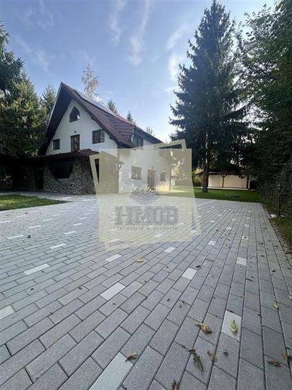 Casa de vacanta vs Afacere la cheie Valea Avrigului