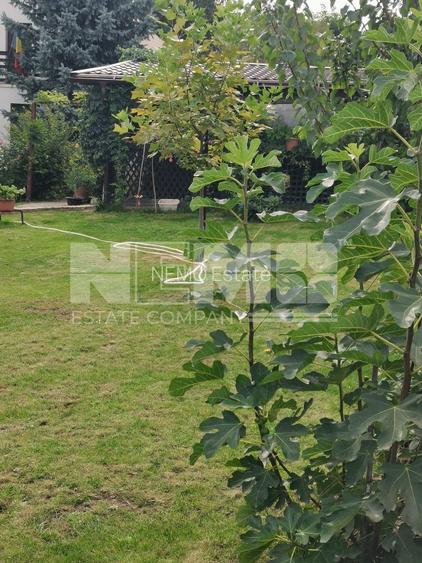 Casă/Vila + Teren 13 Ari de Vânzare |Lisaura/Suceava I 280.000 Euro - 30
