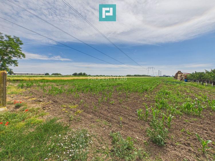Teren extravilan 5000 mp, Arad - 9
