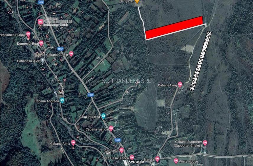 Vanzare parcele de teren 862mp / 1740mp pe Valea Avrigului, Județul Sibiu - 7