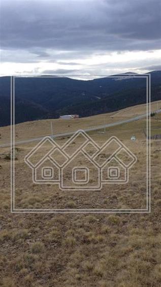 Teren in Paltinis - ideal pentru investitie