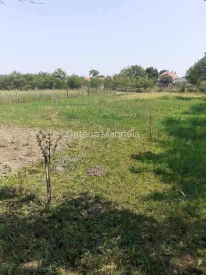 Casă renovată complet – Aluniș (15 km de Arad) - 2