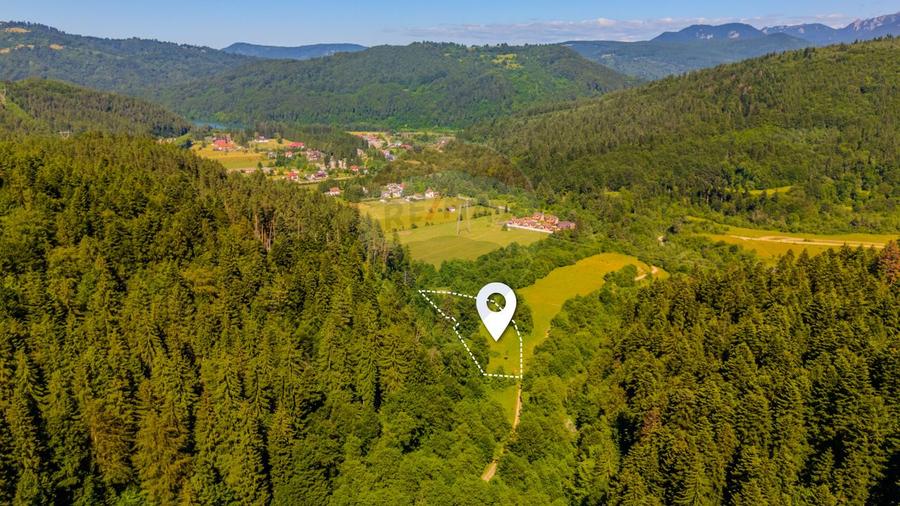 Teren 6000mp Sacele -zona Brădet/ Intravilan/ COMISION 0%