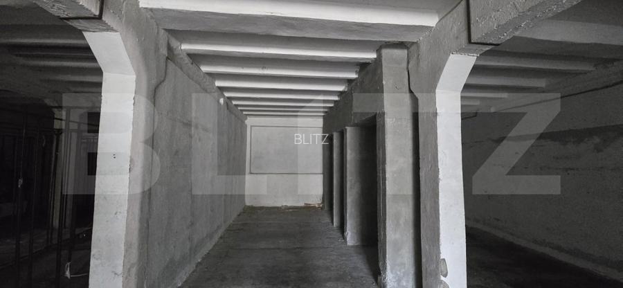 Hală producție/depozitare, de vanzare, 2600 mp, zona Bariera Vâlcii - 15