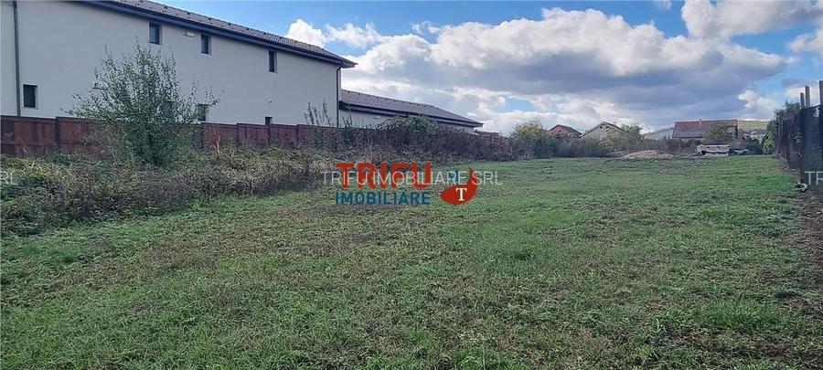 Teren 3000 mp de vanzare Cetate la asfalt cu toate utilitatile - 2