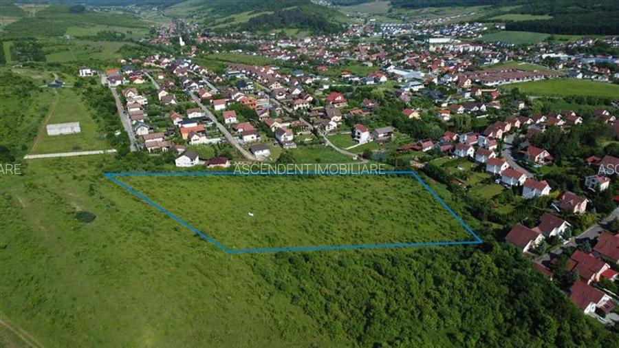 FILM! Teren pretios: 17.200 mp, recomandat investitional/dezvoltare,Livezeni,Mur - 7