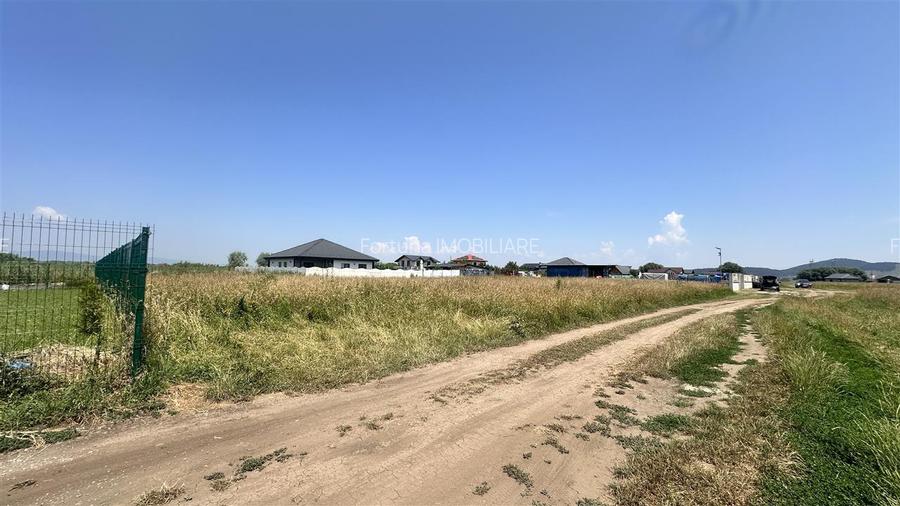 Teren intravilan cu Puz - Sanpetru 10 parcele de 600 mp - 8
