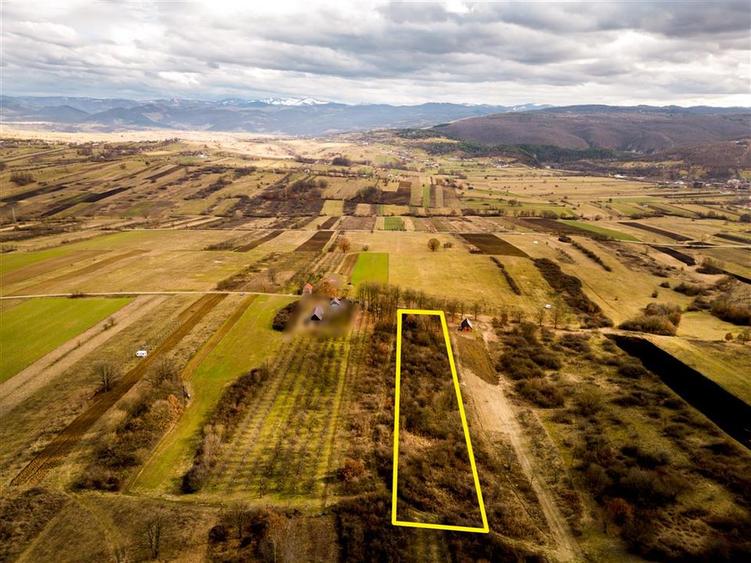RECO Teren 5361 mp, Vadu Crișului, teren generos