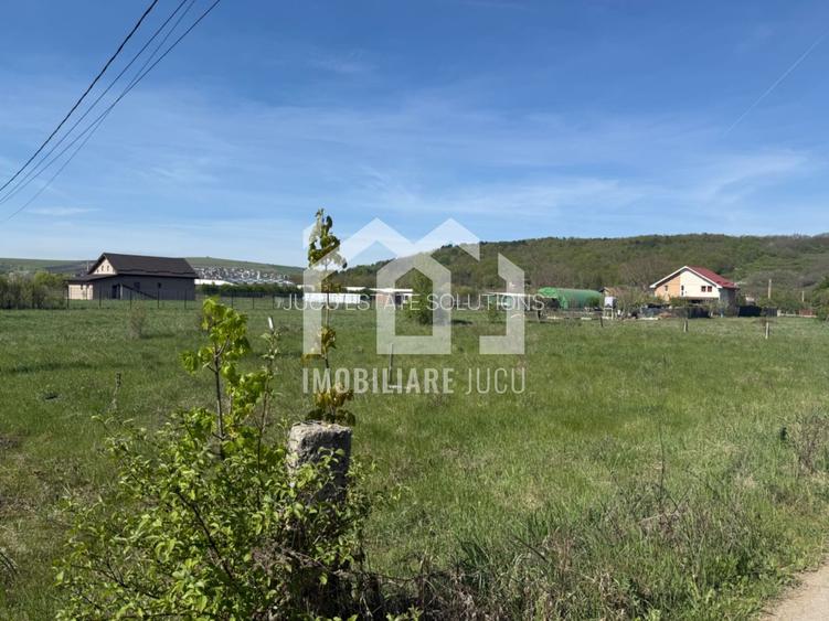 Teren intravilan 925 mp – Jucu de Mijloc, aproape de DN1C - 3