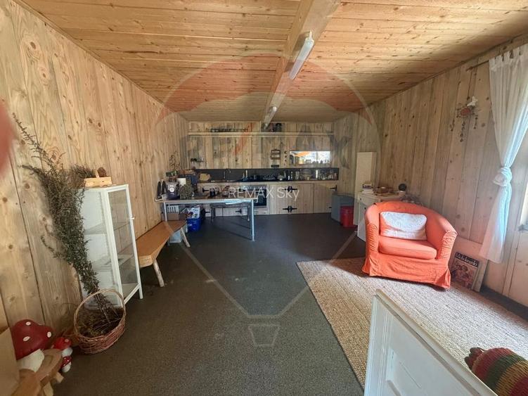 Casa de vânzare | Horea, Alba | Lux și Spațiu Generos - 28