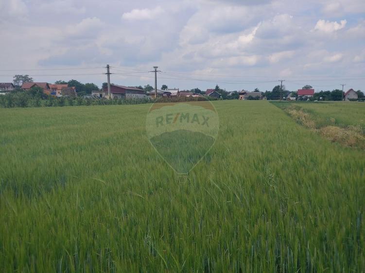 Teren intravilan 6,600mp Dumbraveni / Strada Principala spre Veresti
