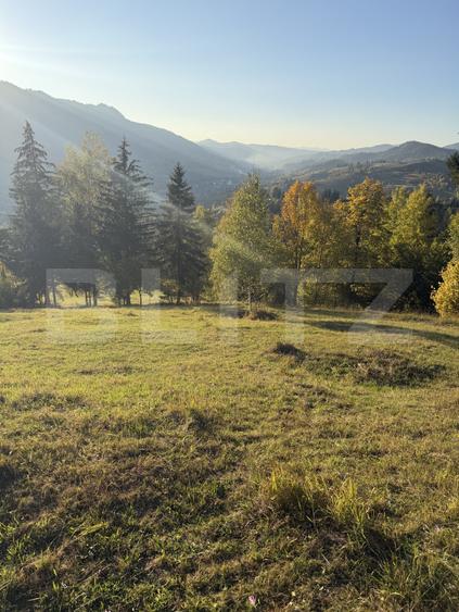 Teren extravilan, 22.870 mp, zona Sadova