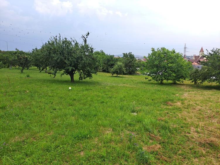 Teren intravilat| Zona rezidentila 1156 mp-TURNISOR