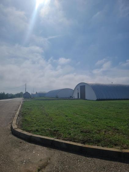 Industrial PARK for Sale – 4 Warehouses with Land, Near Bucharest (INTRAVILAN)