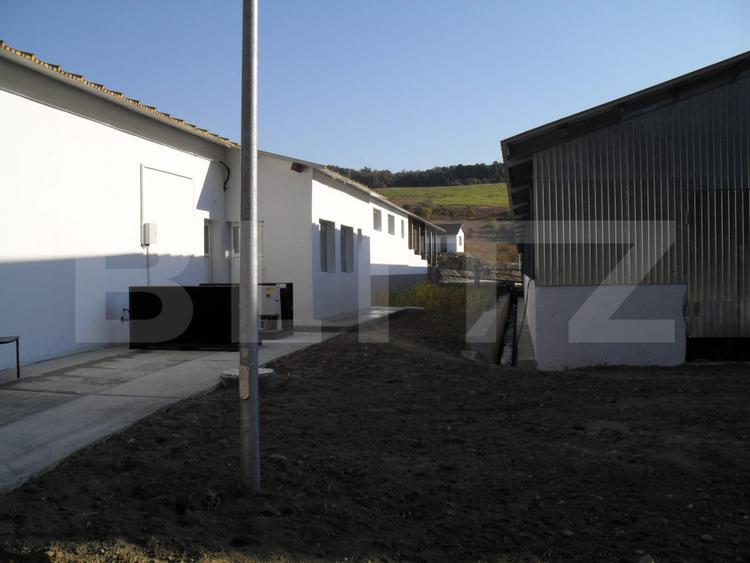 Hale si teren ,curte betonata , destinatii multiple