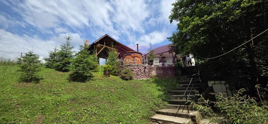 Vila din padure in Valea Doftanei - 38