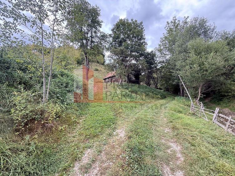 Teren de investiție în Moieciu, lângă Castelul Bran – 11.381 mp, vedere Bucegi