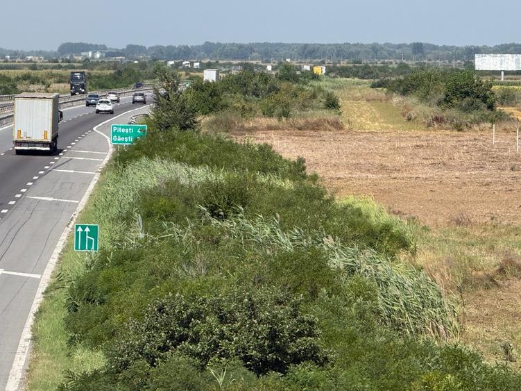 Vand teren autostrada Bucurest Pitesti A1 30000 mp (3ha) cu deschidere la A1