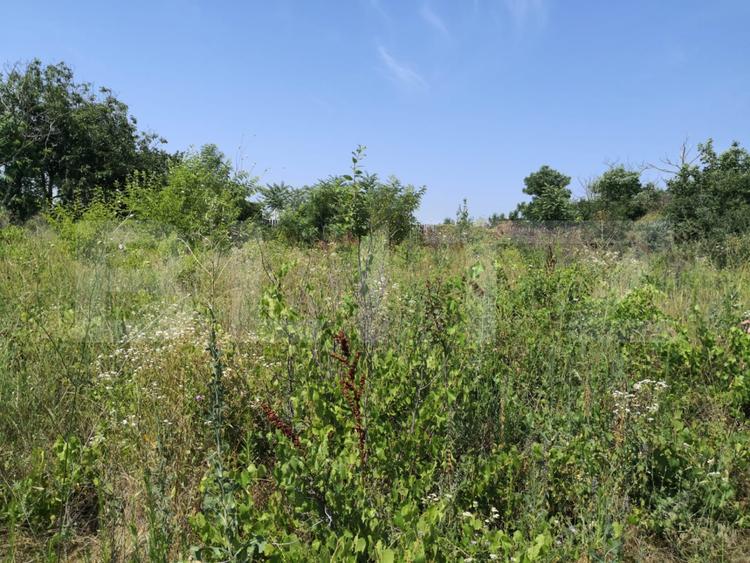Teren de vanzare, 2.845 mp, zona Craiesti