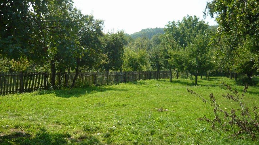 Teren la strada cu latura de padure la Ipotesti