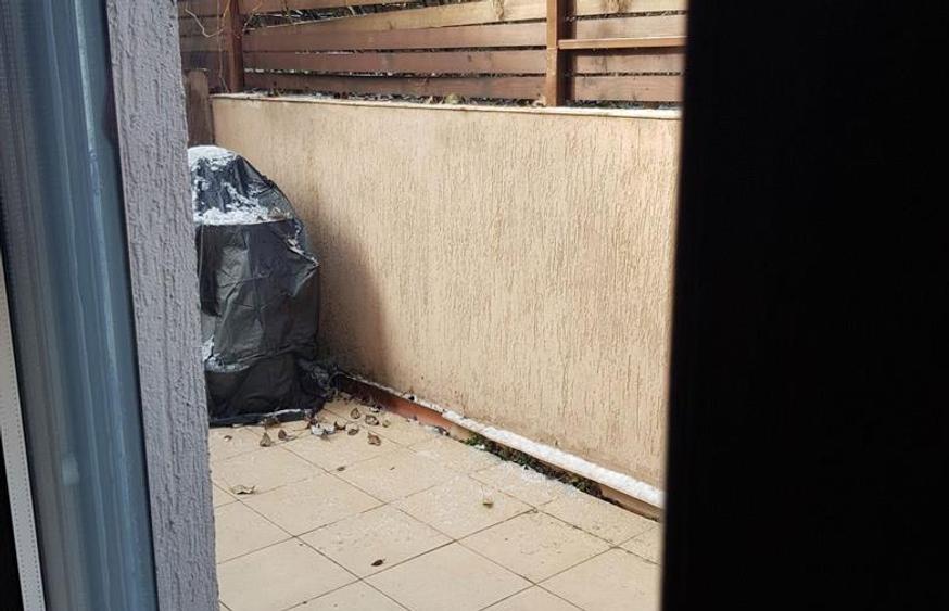 Apartament zona Garlei-Dobrogeanu Gherea cu terasa mare si curte proprie