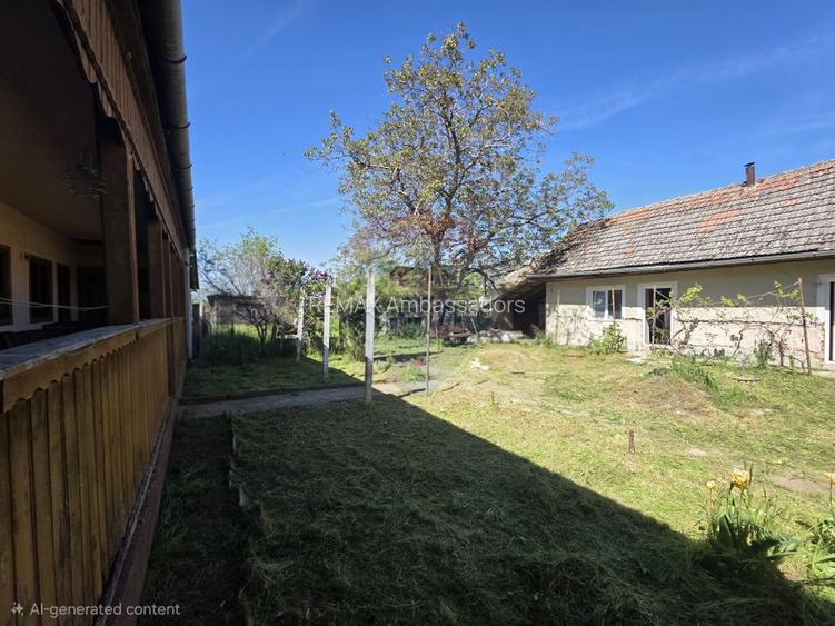 Gospodarie de vanzare in Giulvaz, judetul Timis - 10