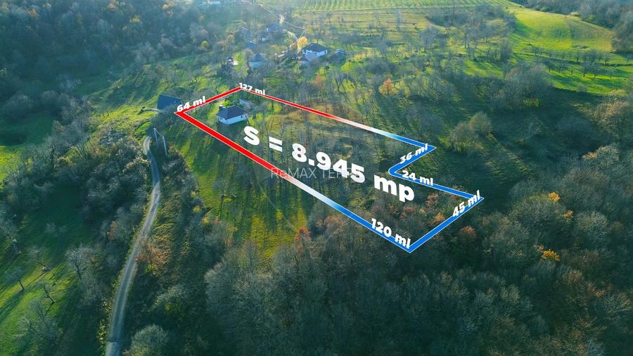 Casa traditionala cu teren 8.945 mp de vanzare | Francenii Boiului | - 2