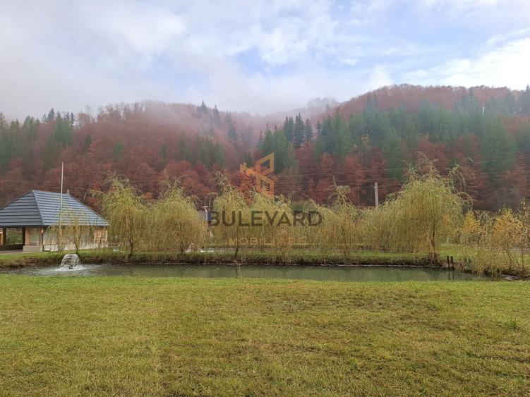 Proprietate cu potențial turistic în zona montană a Țării Lăpușului