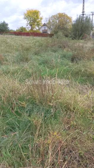 Teren intravilan cu PUZ in Cisnadioara - 3