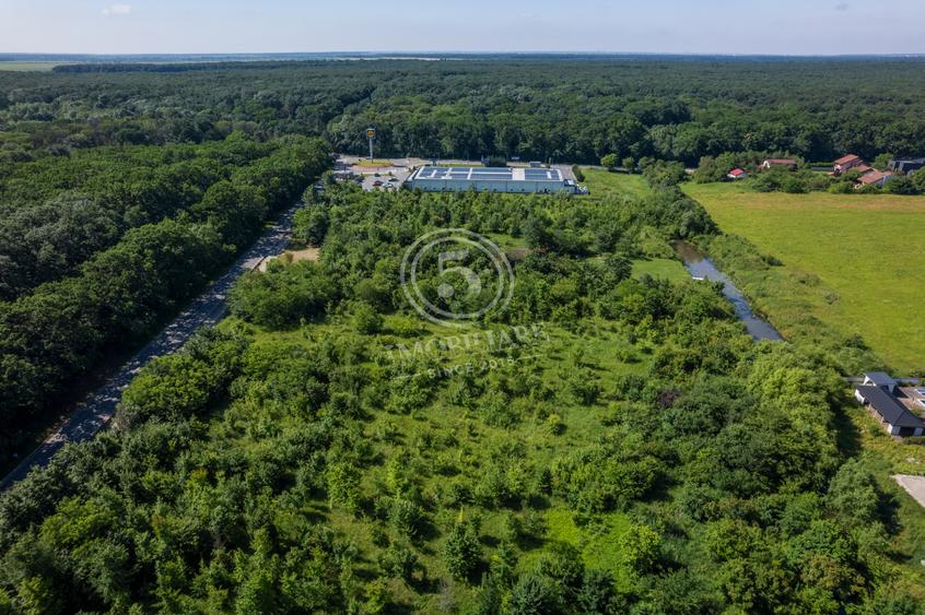 Teren 5.515 mp lângă Lidl Snagov – Ieșire la Lacul Snagov