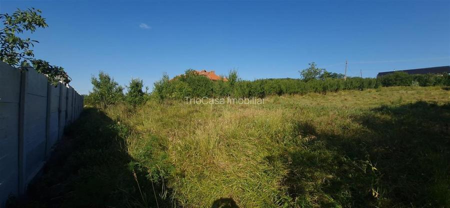 Teren  8 227 mp + Casa demolabila de vanzare in Filiasi -  Fratostita Dolj - 3