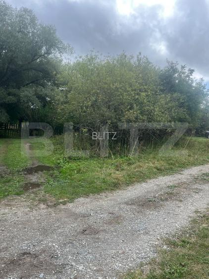 Teren intravilan, 1.180 mp, zona Pietroasa, com. Moldovenesti - 3