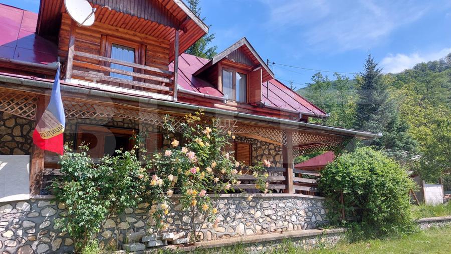 Pensiune deosebită în inima Munților Dacici – investiție premium în Costești - 2