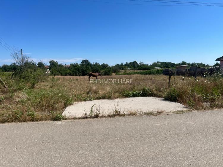 Teren INTRAVILAN  Com. Pleșoiu, sat Schitul din Deal , Str Mihail Kogălniceanu - 3