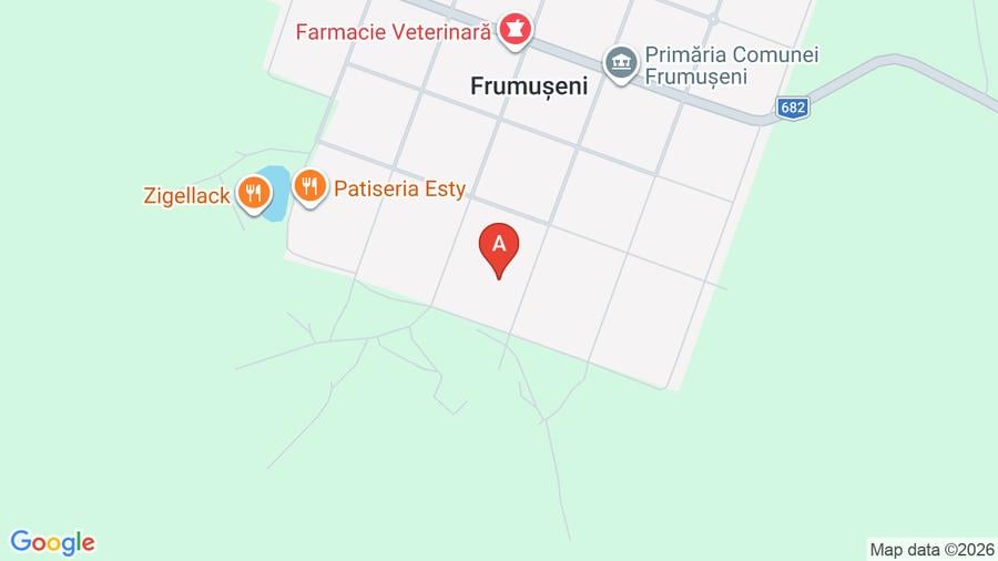 Casa de vanzare la Frumuseni
