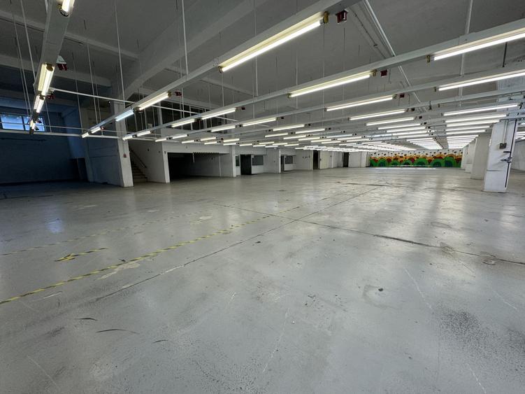 Hala productie P+1 si apartament de serviciu Navodari - c-tie beton