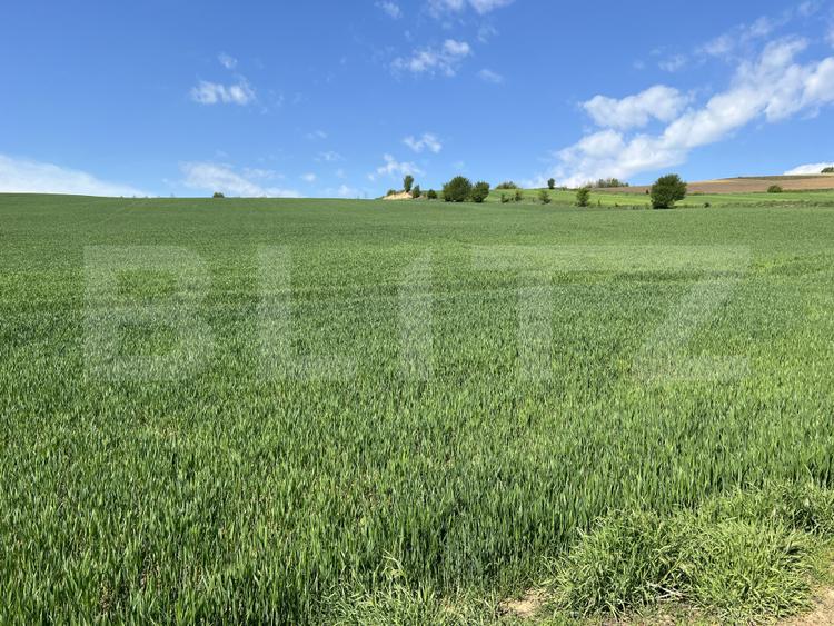 Teren generos 15.900 mp (intravilan + extravilan) în Sâncraiu de Mureș