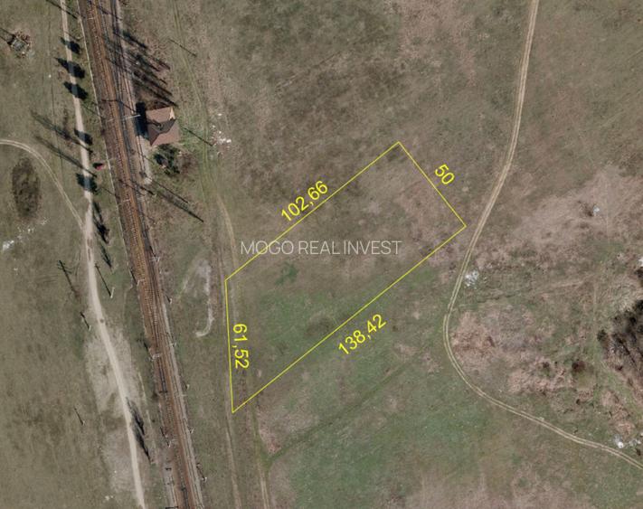 Oportunitate Investitie - 6000mp - Mogosoaia - 4